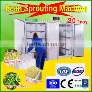 Soybean Sprout Machine thumbnail-4