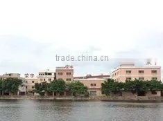 Dongguan City Rongyu Packing Co., Ltd. company overview - view 1 thumbnail
