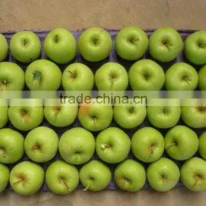 2015 China Green Apple Gala thumbnail-1
