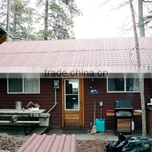 Synthetic Resin Roof Shingle thumbnail-1