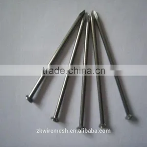 Galvanized Common Nails/Common Wire Nails/Iron Nails thumbnail-2