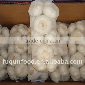 Chinese Garlic 2012 Crop thumbnail-1