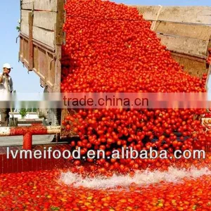 2014 New Crop Good Taste Canned Tomato Paste-140g thumbnail-1