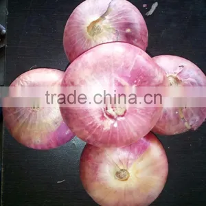 Red Onion Fresh Red Onion for Export thumbnail-2