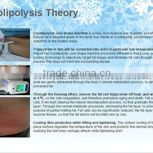 Fat Reduction TaiBo Beauty SUPER Promotion !!!Good Effect Cryolipolysis Lose Weight Machine/laser Lose Weight(809nm Laser Led) 500W thumbnail-5