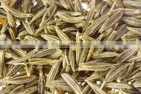 Indian Spices - Indian Origin Cumin thumbnail-3