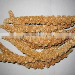 Red Millet Sprays thumbnail-1