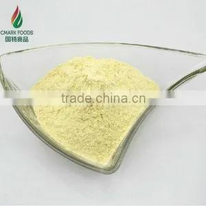 Spice Onion Powder thumbnail-1