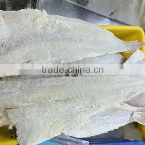 High Quality Salted Alaska Cod Fillets thumbnail-4