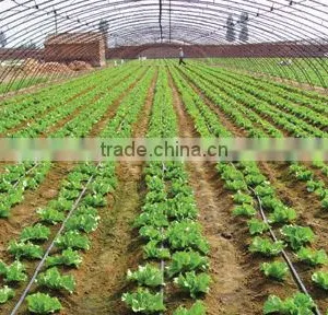 Drip Irrigation System Pipe/tape thumbnail-1