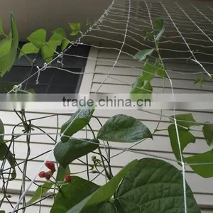Versatile Cattle Panel Trellis Can be Folded Into Tent-shaped or Slanting Trellis thumbnail-1