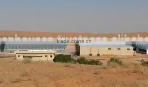 Commercial Greenhouse for Vegetable Production thumbnail-4