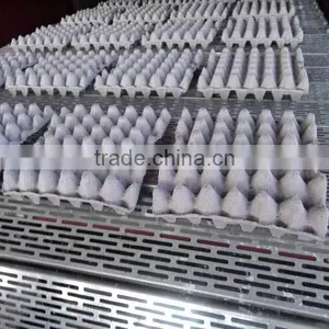 Recycle Paper 30 Trays of Eggs thumbnail-1