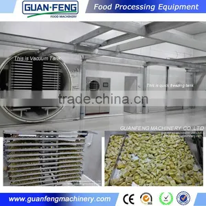 China Wholesale High Quality Vacuum Food And Vegetables Lyophilizer Machine Price thumbnail-6
