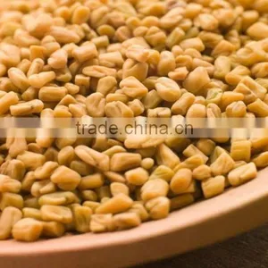 Fenugreek thumbnail-1