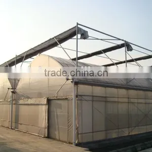 Artificial Intelligence Vegetable Greenhouse thumbnail-1