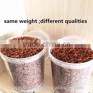 2.8 cm Dried Mealworm With FDA Certification thumbnail-6