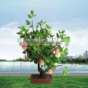 Beautiful Outdoor Decorative Flower Led Light Tree thumbnail-1