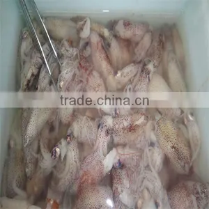 Frozen Boneless Squid Seafood thumbnail-1