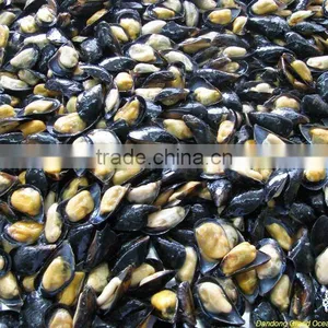 Frozen Boiled Mussel in Half Shell thumbnail-1