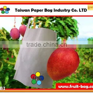 TPBI Fruit and Vegetable Growing Paper Bag Quality for Fruit Products Customized Protection Bag thumbnail-1