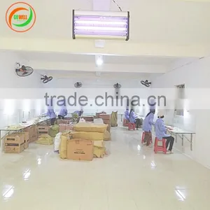Hot Sales 2017 - Disposable Wooden Chopsticks 203.x4.3mm; 4.5mm; 4.8mm Export to Japan, Korea thumbnail-5