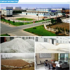 Lianyungang Changtong Silica Powder Co.ltd company overview - view 1 thumbnail