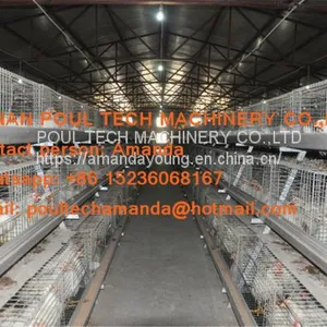 Saudi Arabia Broiler Farming A Frame Full Automatic Broiler Cage & Chicken Coop & Hot Galvanized Cage to Improve Meat Production thumbnail-1