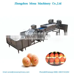 Egg Washing Grading Sterilization Machine Egg Processing Equipment thumbnail-5