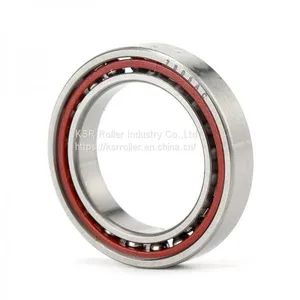 Slewing Ring thumbnail-1