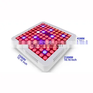 110V/220V 300W Cob LED Grow Light For Indoor Hydroponics Plants Growing thumbnail-1