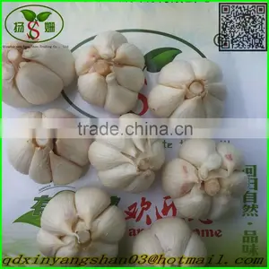 2015 Cangshan Fresh Garlic thumbnail-2