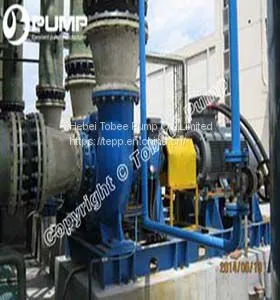 Tobee 500X-TL FGD Pump thumbnail-1