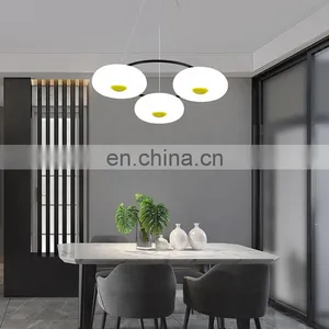 Home Hotel Decor Pendant Lamp thumbnail-1