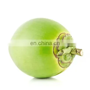 Coconut Vietnam High Quality Competitive Price thumbnail-5