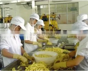Fujian Xingguang Foods Co., Ltd. company overview - view 2 thumbnail