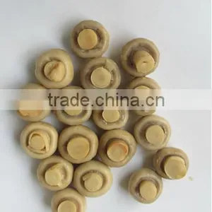 Brined Champignon Mushroom thumbnail-1