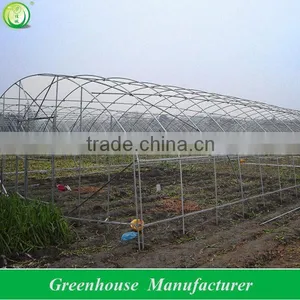 Galvanized Steel Pipe Economical Tunnel Greenhouse thumbnail-4