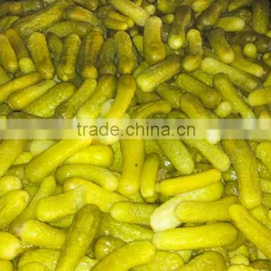 Gherkins in Brine Solution Packing in Drums or Wooden Boxes thumbnail-1