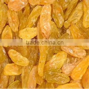 Golden Raisin,the Biggest Raisin Factory thumbnail-1