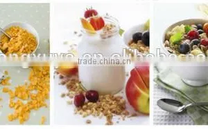 Automatic Kellogs Corn Flakes Extruder/Production Equipment thumbnail-2