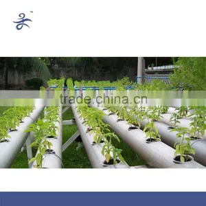 Agricultural Greenhouse Hydroponic Garden Flat System thumbnail-1