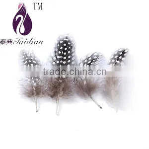 Natural Pearl Chicken Feathers,guinea Fowl Feather Trim Quality Choice thumbnail-1