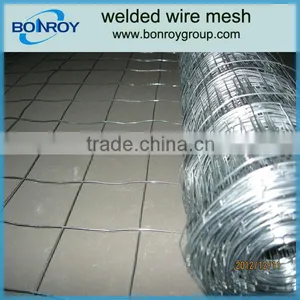 Holland Welded Wire Mesh thumbnail-1