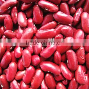 Supply Hot Sale English Red Kidney Beans With Competitive Price thumbnail-5