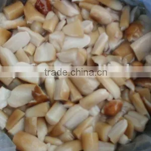 Brined Stropharia Mushroom thumbnail-1