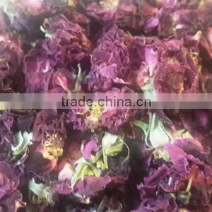 Dried Rose thumbnail-1