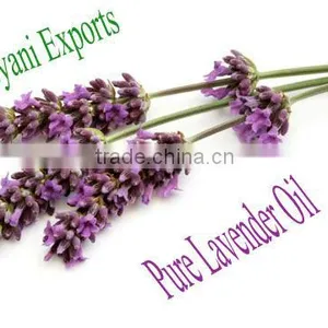 Lavender Oil Distiler thumbnail-1