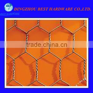 gi Chicken Wire Mesh thumbnail-1