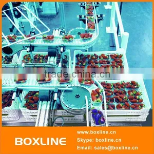 Automatic Bottles Box Modular Belt thumbnail-1